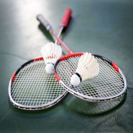 Badminton Bat